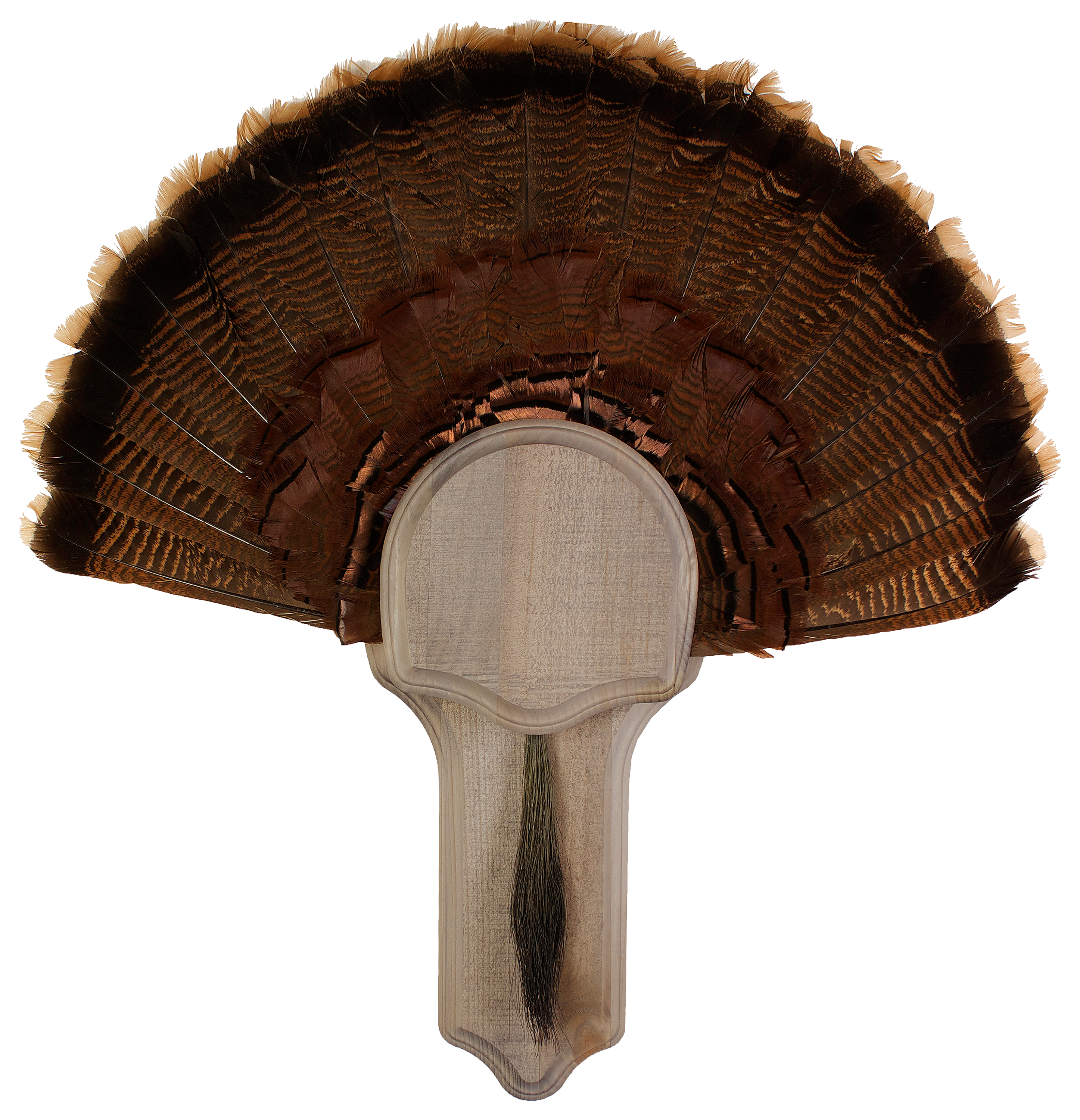 Walnut Hollow Country Rustic Deluxe Turkey Mount Kit Cabela's